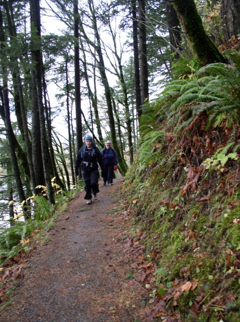 Waukeena Mult Falls 11.26.05 006 